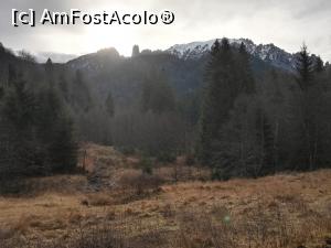 [P04] Decembrie, plecarea din Poiana Dălghiu. » foto by Mika
 - 
<span class="allrVoted glyphicon glyphicon-heart hidden" id="av1160765"></span>
<a class="m-l-10 hidden" id="sv1160765" onclick="voting_Foto_DelVot(,1160765,4696)" role="button">șterge vot <span class="glyphicon glyphicon-remove"></span></a>
<a id="v91160765" class=" c-red"  onclick="voting_Foto_SetVot(1160765)" role="button"><span class="glyphicon glyphicon-heart-empty"></span> <b>LIKE</b> = Votează poza</a> <img class="hidden"  id="f1160765W9" src="/imagini/loader.gif" border="0" /><span class="AjErrMes hidden" id="e1160765ErM"></span>