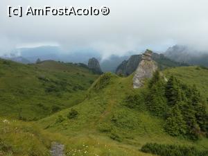 [P41] August - in golul alpin, spre Vf. Ciucaș » foto by Mika
 - 
<span class="allrVoted glyphicon glyphicon-heart hidden" id="av1160802"></span>
<a class="m-l-10 hidden" id="sv1160802" onclick="voting_Foto_DelVot(,1160802,4696)" role="button">șterge vot <span class="glyphicon glyphicon-remove"></span></a>
<a id="v91160802" class=" c-red"  onclick="voting_Foto_SetVot(1160802)" role="button"><span class="glyphicon glyphicon-heart-empty"></span> <b>LIKE</b> = Votează poza</a> <img class="hidden"  id="f1160802W9" src="/imagini/loader.gif" border="0" /><span class="AjErrMes hidden" id="e1160802ErM"></span>