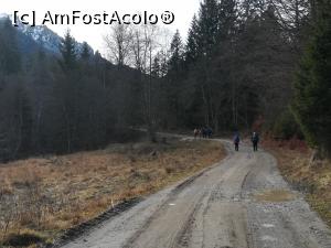 [P43] Decembrie - am plecat la drum » foto by Mika
 - 
<span class="allrVoted glyphicon glyphicon-heart hidden" id="av1160804"></span>
<a class="m-l-10 hidden" id="sv1160804" onclick="voting_Foto_DelVot(,1160804,4696)" role="button">șterge vot <span class="glyphicon glyphicon-remove"></span></a>
<a id="v91160804" class=" c-red"  onclick="voting_Foto_SetVot(1160804)" role="button"><span class="glyphicon glyphicon-heart-empty"></span> <b>LIKE</b> = Votează poza</a> <img class="hidden"  id="f1160804W9" src="/imagini/loader.gif" border="0" /><span class="AjErrMes hidden" id="e1160804ErM"></span>