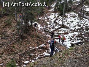 [P05] Decembrie, spre Șaua Ciucaș » foto by Mika
 - 
<span class="allrVoted glyphicon glyphicon-heart hidden" id="av1160766"></span>
<a class="m-l-10 hidden" id="sv1160766" onclick="voting_Foto_DelVot(,1160766,4696)" role="button">șterge vot <span class="glyphicon glyphicon-remove"></span></a>
<a id="v91160766" class=" c-red"  onclick="voting_Foto_SetVot(1160766)" role="button"><span class="glyphicon glyphicon-heart-empty"></span> <b>LIKE</b> = Votează poza</a> <img class="hidden"  id="f1160766W9" src="/imagini/loader.gif" border="0" /><span class="AjErrMes hidden" id="e1160766ErM"></span>