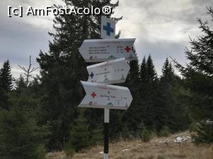 [P52] In POiana Tesla » foto by Mika
 - 
<span class="allrVoted glyphicon glyphicon-heart hidden" id="av1160813"></span>
<a class="m-l-10 hidden" id="sv1160813" onclick="voting_Foto_DelVot(,1160813,4696)" role="button">șterge vot <span class="glyphicon glyphicon-remove"></span></a>
<a id="v91160813" class=" c-red"  onclick="voting_Foto_SetVot(1160813)" role="button"><span class="glyphicon glyphicon-heart-empty"></span> <b>LIKE</b> = Votează poza</a> <img class="hidden"  id="f1160813W9" src="/imagini/loader.gif" border="0" /><span class="AjErrMes hidden" id="e1160813ErM"></span>