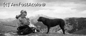 [P11] La discuții cu cățelul iubitor de munte. Și lui îi era foame, dar vroia numai salam, pâinea nu prea îi făcea bine » foto by Mika
 - 
<span class="allrVoted glyphicon glyphicon-heart hidden" id="av1163539"></span>
<a class="m-l-10 hidden" id="sv1163539" onclick="voting_Foto_DelVot(,1163539,4696)" role="button">șterge vot <span class="glyphicon glyphicon-remove"></span></a>
<a id="v91163539" class=" c-red"  onclick="voting_Foto_SetVot(1163539)" role="button"><span class="glyphicon glyphicon-heart-empty"></span> <b>LIKE</b> = Votează poza</a> <img class="hidden"  id="f1163539W9" src="/imagini/loader.gif" border="0" /><span class="AjErrMes hidden" id="e1163539ErM"></span>