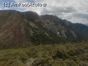 [P12] Culmile Zăganului » foto by Mika
 - 
<span class="allrVoted glyphicon glyphicon-heart hidden" id="av1163540"></span>
<a class="m-l-10 hidden" id="sv1163540" onclick="voting_Foto_DelVot(,1163540,4696)" role="button">șterge vot <span class="glyphicon glyphicon-remove"></span></a>
<a id="v91163540" class=" c-red"  onclick="voting_Foto_SetVot(1163540)" role="button"><span class="glyphicon glyphicon-heart-empty"></span> <b>LIKE</b> = Votează poza</a> <img class="hidden"  id="f1163540W9" src="/imagini/loader.gif" border="0" /><span class="AjErrMes hidden" id="e1163540ErM"></span>