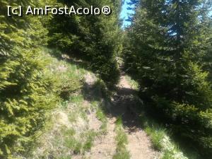 [P02] Prima parte a urcușului, foarte frumoasă, printr-o porțiune impădurită » foto by Mika
 - 
<span class="allrVoted glyphicon glyphicon-heart hidden" id="av1163530"></span>
<a class="m-l-10 hidden" id="sv1163530" onclick="voting_Foto_DelVot(,1163530,4696)" role="button">șterge vot <span class="glyphicon glyphicon-remove"></span></a>
<a id="v91163530" class=" c-red"  onclick="voting_Foto_SetVot(1163530)" role="button"><span class="glyphicon glyphicon-heart-empty"></span> <b>LIKE</b> = Votează poza</a> <img class="hidden"  id="f1163530W9" src="/imagini/loader.gif" border="0" /><span class="AjErrMes hidden" id="e1163530ErM"></span>