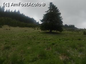 [P26] In apropiere de Cabana Muntele Roșu » foto by Mika
 - 
<span class="allrVoted glyphicon glyphicon-heart hidden" id="av1163554"></span>
<a class="m-l-10 hidden" id="sv1163554" onclick="voting_Foto_DelVot(,1163554,4696)" role="button">șterge vot <span class="glyphicon glyphicon-remove"></span></a>
<a id="v91163554" class=" c-red"  onclick="voting_Foto_SetVot(1163554)" role="button"><span class="glyphicon glyphicon-heart-empty"></span> <b>LIKE</b> = Votează poza</a> <img class="hidden"  id="f1163554W9" src="/imagini/loader.gif" border="0" /><span class="AjErrMes hidden" id="e1163554ErM"></span>