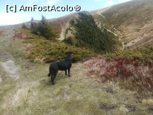 [P08] Spre Vârful  Gropșoarele » foto by Mika
 - 
<span class="allrVoted glyphicon glyphicon-heart hidden" id="av1163536"></span>
<a class="m-l-10 hidden" id="sv1163536" onclick="voting_Foto_DelVot(,1163536,4696)" role="button">șterge vot <span class="glyphicon glyphicon-remove"></span></a>
<a id="v91163536" class=" c-red"  onclick="voting_Foto_SetVot(1163536)" role="button"><span class="glyphicon glyphicon-heart-empty"></span> <b>LIKE</b> = Votează poza</a> <img class="hidden"  id="f1163536W9" src="/imagini/loader.gif" border="0" /><span class="AjErrMes hidden" id="e1163536ErM"></span>
