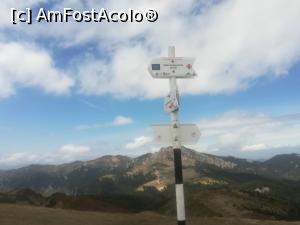 [P09] La Răscruce » foto by Mika
 - 
<span class="allrVoted glyphicon glyphicon-heart hidden" id="av1163537"></span>
<a class="m-l-10 hidden" id="sv1163537" onclick="voting_Foto_DelVot(,1163537,4696)" role="button">șterge vot <span class="glyphicon glyphicon-remove"></span></a>
<a id="v91163537" class=" c-red"  onclick="voting_Foto_SetVot(1163537)" role="button"><span class="glyphicon glyphicon-heart-empty"></span> <b>LIKE</b> = Votează poza</a> <img class="hidden"  id="f1163537W9" src="/imagini/loader.gif" border="0" /><span class="AjErrMes hidden" id="e1163537ErM"></span>