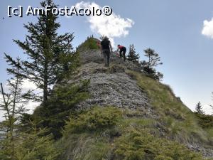 [P13] Cocoțarea pe stânci » foto by Mika
 - 
<span class="allrVoted glyphicon glyphicon-heart hidden" id="av1166988"></span>
<a class="m-l-10 hidden" id="sv1166988" onclick="voting_Foto_DelVot(,1166988,4696)" role="button">șterge vot <span class="glyphicon glyphicon-remove"></span></a>
<a id="v91166988" class=" c-red"  onclick="voting_Foto_SetVot(1166988)" role="button"><span class="glyphicon glyphicon-heart-empty"></span> <b>LIKE</b> = Votează poza</a> <img class="hidden"  id="f1166988W9" src="/imagini/loader.gif" border="0" /><span class="AjErrMes hidden" id="e1166988ErM"></span>