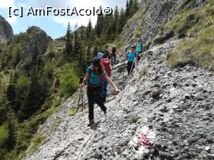 [P17] In porțiunea La Lanțuri » foto by Mika
 - 
<span class="allrVoted glyphicon glyphicon-heart hidden" id="av1166992"></span>
<a class="m-l-10 hidden" id="sv1166992" onclick="voting_Foto_DelVot(,1166992,4696)" role="button">șterge vot <span class="glyphicon glyphicon-remove"></span></a>
<a id="v91166992" class=" c-red"  onclick="voting_Foto_SetVot(1166992)" role="button"><span class="glyphicon glyphicon-heart-empty"></span> <b>LIKE</b> = Votează poza</a> <img class="hidden"  id="f1166992W9" src="/imagini/loader.gif" border="0" /><span class="AjErrMes hidden" id="e1166992ErM"></span>