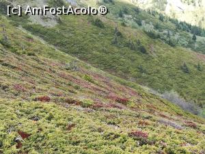 [P19] Văile s-au colorat in roz » foto by Mika
 - 
<span class="allrVoted glyphicon glyphicon-heart hidden" id="av1166994"></span>
<a class="m-l-10 hidden" id="sv1166994" onclick="voting_Foto_DelVot(,1166994,4696)" role="button">șterge vot <span class="glyphicon glyphicon-remove"></span></a>
<a id="v91166994" class=" c-red"  onclick="voting_Foto_SetVot(1166994)" role="button"><span class="glyphicon glyphicon-heart-empty"></span> <b>LIKE</b> = Votează poza</a> <img class="hidden"  id="f1166994W9" src="/imagini/loader.gif" border="0" /><span class="AjErrMes hidden" id="e1166994ErM"></span>