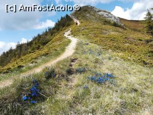 [P02] Pe alocuri hainele roz s-au schimbat cu albastrul gențienelor » foto by Mika
 - 
<span class="allrVoted glyphicon glyphicon-heart hidden" id="av1166977"></span>
<a class="m-l-10 hidden" id="sv1166977" onclick="voting_Foto_DelVot(,1166977,4696)" role="button">șterge vot <span class="glyphicon glyphicon-remove"></span></a>
<a id="v91166977" class=" c-red"  onclick="voting_Foto_SetVot(1166977)" role="button"><span class="glyphicon glyphicon-heart-empty"></span> <b>LIKE</b> = Votează poza</a> <img class="hidden"  id="f1166977W9" src="/imagini/loader.gif" border="0" /><span class="AjErrMes hidden" id="e1166977ErM"></span>