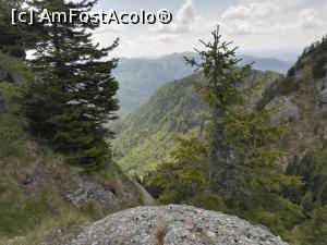 [P25] Peste tot munți » foto by Mika
 - 
<span class="allrVoted glyphicon glyphicon-heart hidden" id="av1167000"></span>
<a class="m-l-10 hidden" id="sv1167000" onclick="voting_Foto_DelVot(,1167000,4696)" role="button">șterge vot <span class="glyphicon glyphicon-remove"></span></a>
<a id="v91167000" class=" c-red"  onclick="voting_Foto_SetVot(1167000)" role="button"><span class="glyphicon glyphicon-heart-empty"></span> <b>LIKE</b> = Votează poza</a> <img class="hidden"  id="f1167000W9" src="/imagini/loader.gif" border="0" /><span class="AjErrMes hidden" id="e1167000ErM"></span>