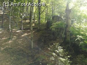 [P07] Urcușul prin pădure » foto by Mika
 - 
<span class="allrVoted glyphicon glyphicon-heart hidden" id="av1166982"></span>
<a class="m-l-10 hidden" id="sv1166982" onclick="voting_Foto_DelVot(,1166982,4696)" role="button">șterge vot <span class="glyphicon glyphicon-remove"></span></a>
<a id="v91166982" class=" c-red"  onclick="voting_Foto_SetVot(1166982)" role="button"><span class="glyphicon glyphicon-heart-empty"></span> <b>LIKE</b> = Votează poza</a> <img class="hidden"  id="f1166982W9" src="/imagini/loader.gif" border="0" /><span class="AjErrMes hidden" id="e1166982ErM"></span>