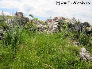 [P16] Dealul Şprenghi - Braşov » foto by krondia*
 - 
<span class="allrVoted glyphicon glyphicon-heart hidden" id="av517940"></span>
<a class="m-l-10 hidden" id="sv517940" onclick="voting_Foto_DelVot(,517940,4703)" role="button">șterge vot <span class="glyphicon glyphicon-remove"></span></a>
<a id="v9517940" class=" c-red"  onclick="voting_Foto_SetVot(517940)" role="button"><span class="glyphicon glyphicon-heart-empty"></span> <b>LIKE</b> = Votează poza</a> <img class="hidden"  id="f517940W9" src="/imagini/loader.gif" border="0" /><span class="AjErrMes hidden" id="e517940ErM"></span>
