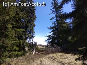 [P30] Iezer Păpușa, spre v&acirc;rf » foto by Mioritik
 - 
<span class="allrVoted glyphicon glyphicon-heart hidden" id="av1229476"></span>
<a class="m-l-10 hidden" id="sv1229476" onclick="voting_Foto_DelVot(,1229476,4725)" role="button">șterge vot <span class="glyphicon glyphicon-remove"></span></a>
<a id="v91229476" class=" c-red"  onclick="voting_Foto_SetVot(1229476)" role="button"><span class="glyphicon glyphicon-heart-empty"></span> <b>LIKE</b> = Votează poza</a> <img class="hidden"  id="f1229476W9" src="/imagini/loader.gif" border="0" /><span class="AjErrMes hidden" id="e1229476ErM"></span>