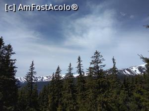 [P32] Iezer Păpușa, spre creastă » foto by Mioritik
 - 
<span class="allrVoted glyphicon glyphicon-heart hidden" id="av1229478"></span>
<a class="m-l-10 hidden" id="sv1229478" onclick="voting_Foto_DelVot(,1229478,4725)" role="button">șterge vot <span class="glyphicon glyphicon-remove"></span></a>
<a id="v91229478" class=" c-red"  onclick="voting_Foto_SetVot(1229478)" role="button"><span class="glyphicon glyphicon-heart-empty"></span> <b>LIKE</b> = Votează poza</a> <img class="hidden"  id="f1229478W9" src="/imagini/loader.gif" border="0" /><span class="AjErrMes hidden" id="e1229478ErM"></span>