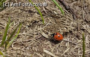 [P33] Iezer Păpușa, pe creastă » foto by Mioritik
 - 
<span class="allrVoted glyphicon glyphicon-heart hidden" id="av1229479"></span>
<a class="m-l-10 hidden" id="sv1229479" onclick="voting_Foto_DelVot(,1229479,4725)" role="button">șterge vot <span class="glyphicon glyphicon-remove"></span></a>
<a id="v91229479" class=" c-red"  onclick="voting_Foto_SetVot(1229479)" role="button"><span class="glyphicon glyphicon-heart-empty"></span> <b>LIKE</b> = Votează poza</a> <img class="hidden"  id="f1229479W9" src="/imagini/loader.gif" border="0" /><span class="AjErrMes hidden" id="e1229479ErM"></span>