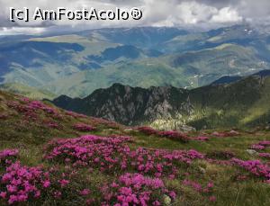 [P01] Colții Cremenii intr-o mare roz » foto by Mika
 - 
<span class="allrVoted glyphicon glyphicon-heart hidden" id="av1237756"></span>
<a class="m-l-10 hidden" id="sv1237756" onclick="voting_Foto_DelVot(,1237756,4725)" role="button">șterge vot <span class="glyphicon glyphicon-remove"></span></a>
<a id="v91237756" class=" c-red"  onclick="voting_Foto_SetVot(1237756)" role="button"><span class="glyphicon glyphicon-heart-empty"></span> <b>LIKE</b> = Votează poza</a> <img class="hidden"  id="f1237756W9" src="/imagini/loader.gif" border="0" /><span class="AjErrMes hidden" id="e1237756ErM"></span>