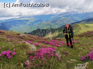 [P17] Eu, rhododendronii și Colții Cremenii » foto by Mika
 - 
<span class="allrVoted glyphicon glyphicon-heart hidden" id="av1237772"></span>
<a class="m-l-10 hidden" id="sv1237772" onclick="voting_Foto_DelVot(,1237772,4725)" role="button">șterge vot <span class="glyphicon glyphicon-remove"></span></a>
<a id="v91237772" class=" c-red"  onclick="voting_Foto_SetVot(1237772)" role="button"><span class="glyphicon glyphicon-heart-empty"></span> <b>LIKE</b> = Votează poza</a> <img class="hidden"  id="f1237772W9" src="/imagini/loader.gif" border="0" /><span class="AjErrMes hidden" id="e1237772ErM"></span>