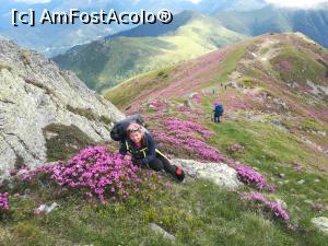 [P19] Spre Curmătura Oticului » foto by Mika
 - 
<span class="allrVoted glyphicon glyphicon-heart hidden" id="av1237774"></span>
<a class="m-l-10 hidden" id="sv1237774" onclick="voting_Foto_DelVot(,1237774,4725)" role="button">șterge vot <span class="glyphicon glyphicon-remove"></span></a>
<a id="v91237774" class=" c-red"  onclick="voting_Foto_SetVot(1237774)" role="button"><span class="glyphicon glyphicon-heart-empty"></span> <b>LIKE</b> = Votează poza</a> <img class="hidden"  id="f1237774W9" src="/imagini/loader.gif" border="0" /><span class="AjErrMes hidden" id="e1237774ErM"></span>