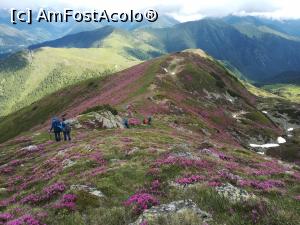 [P22] Prin Marea Roz » foto by Mika
 - 
<span class="allrVoted glyphicon glyphicon-heart hidden" id="av1237777"></span>
<a class="m-l-10 hidden" id="sv1237777" onclick="voting_Foto_DelVot(,1237777,4725)" role="button">șterge vot <span class="glyphicon glyphicon-remove"></span></a>
<a id="v91237777" class=" c-red"  onclick="voting_Foto_SetVot(1237777)" role="button"><span class="glyphicon glyphicon-heart-empty"></span> <b>LIKE</b> = Votează poza</a> <img class="hidden"  id="f1237777W9" src="/imagini/loader.gif" border="0" /><span class="AjErrMes hidden" id="e1237777ErM"></span>