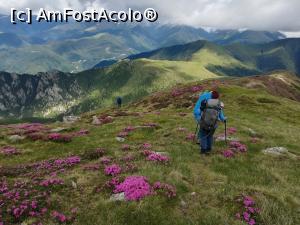 [P32] Marea Traversare din Iezer in Făgăraș » foto by Mika
 - 
<span class="allrVoted glyphicon glyphicon-heart hidden" id="av1237787"></span>
<a class="m-l-10 hidden" id="sv1237787" onclick="voting_Foto_DelVot(,1237787,4725)" role="button">șterge vot <span class="glyphicon glyphicon-remove"></span></a>
<a id="v91237787" class=" c-red"  onclick="voting_Foto_SetVot(1237787)" role="button"><span class="glyphicon glyphicon-heart-empty"></span> <b>LIKE</b> = Votează poza</a> <img class="hidden"  id="f1237787W9" src="/imagini/loader.gif" border="0" /><span class="AjErrMes hidden" id="e1237787ErM"></span>