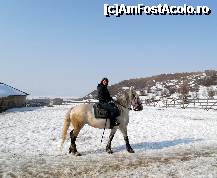 [P30] Fiecare cu calul sau, dupa puteri si...gabarit :) » foto by pepsi70ro
 - 
<span class="allrVoted glyphicon glyphicon-heart hidden" id="av304784"></span>
<a class="m-l-10 hidden" id="sv304784" onclick="voting_Foto_DelVot(,304784,4769)" role="button">șterge vot <span class="glyphicon glyphicon-remove"></span></a>
<a id="v9304784" class=" c-red"  onclick="voting_Foto_SetVot(304784)" role="button"><span class="glyphicon glyphicon-heart-empty"></span> <b>LIKE</b> = Votează poza</a> <img class="hidden"  id="f304784W9" src="/imagini/loader.gif" border="0" /><span class="AjErrMes hidden" id="e304784ErM"></span>