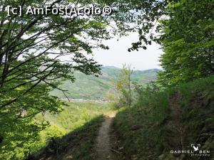 [P10] Vedere spre vale la intrarea în pădurea de fag » foto by Gabel2015
 - 
<span class="allrVoted glyphicon glyphicon-heart hidden" id="av1363192"></span>
<a class="m-l-10 hidden" id="sv1363192" onclick="voting_Foto_DelVot(,1363192,4816)" role="button">șterge vot <span class="glyphicon glyphicon-remove"></span></a>
<a id="v91363192" class=" c-red"  onclick="voting_Foto_SetVot(1363192)" role="button"><span class="glyphicon glyphicon-heart-empty"></span> <b>LIKE</b> = Votează poza</a> <img class="hidden"  id="f1363192W9" src="/imagini/loader.gif" border="0" /><span class="AjErrMes hidden" id="e1363192ErM"></span>