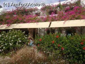 [P10]  -- <small>// FĂRĂ DESCRIERE</small> » foto by Cristian_h
 - 
<span class="allrVoted glyphicon glyphicon-heart hidden" id="av1516782"></span>
<a class="m-l-10 hidden" id="sv1516782" onclick="voting_Foto_DelVot(,1516782,4839)" role="button">șterge vot <span class="glyphicon glyphicon-remove"></span></a>
<a id="v91516782" class=" c-red"  onclick="voting_Foto_SetVot(1516782)" role="button"><span class="glyphicon glyphicon-heart-empty"></span> <b>LIKE</b> = Votează poza</a> <img class="hidden"  id="f1516782W9" src="/imagini/loader.gif" border="0" /><span class="AjErrMes hidden" id="e1516782ErM"></span>