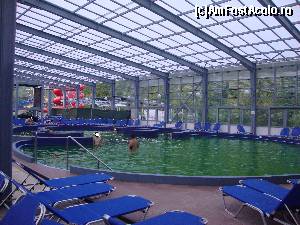 [P06] 1. Ștrandul Cozia AquaPark - una dintre piscinele din zona acoperită. Curenții de apă creați de jeturile din partea centrală a acestei piscine ne-au ajutat să ne învârtim prin apă. A fost foarte amuzant!  » foto by Floryn81
 - 
<span class="allrVoted glyphicon glyphicon-heart hidden" id="av680463"></span>
<a class="m-l-10 hidden" id="sv680463" onclick="voting_Foto_DelVot(,680463,4859)" role="button">șterge vot <span class="glyphicon glyphicon-remove"></span></a>
<a id="v9680463" class=" c-red"  onclick="voting_Foto_SetVot(680463)" role="button"><span class="glyphicon glyphicon-heart-empty"></span> <b>LIKE</b> = Votează poza</a> <img class="hidden"  id="f680463W9" src="/imagini/loader.gif" border="0" /><span class="AjErrMes hidden" id="e680463ErM"></span>