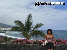 [P16] Playa Jardin - Puerto de la Cruz » foto by cami1212
 - 
<span class="allrVoted glyphicon glyphicon-heart hidden" id="av80526"></span>
<a class="m-l-10 hidden" id="sv80526" onclick="voting_Foto_DelVot(,80526,4873)" role="button">șterge vot <span class="glyphicon glyphicon-remove"></span></a>
<a id="v980526" class=" c-red"  onclick="voting_Foto_SetVot(80526)" role="button"><span class="glyphicon glyphicon-heart-empty"></span> <b>LIKE</b> = Votează poza</a> <img class="hidden"  id="f80526W9" src="/imagini/loader.gif" border="0" /><span class="AjErrMes hidden" id="e80526ErM"></span>