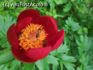 [P02]  -- <small>// FĂRĂ DESCRIERE</small> » foto by Cristian_h
 - 
<span class="allrVoted glyphicon glyphicon-heart hidden" id="av1518517"></span>
<a class="m-l-10 hidden" id="sv1518517" onclick="voting_Foto_DelVot(,1518517,4898)" role="button">șterge vot <span class="glyphicon glyphicon-remove"></span></a>
<a id="v91518517" class=" c-red"  onclick="voting_Foto_SetVot(1518517)" role="button"><span class="glyphicon glyphicon-heart-empty"></span> <b>LIKE</b> = Votează poza</a> <img class="hidden"  id="f1518517W9" src="/imagini/loader.gif" border="0" /><span class="AjErrMes hidden" id="e1518517ErM"></span>