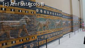 [P24] Friza leilor » foto by GIN2015*
 - 
<span class="allrVoted glyphicon glyphicon-heart hidden" id="av812456"></span>
<a class="m-l-10 hidden" id="sv812456" onclick="voting_Foto_DelVot(,812456,4900)" role="button">șterge vot <span class="glyphicon glyphicon-remove"></span></a>
<a id="v9812456" class=" c-red"  onclick="voting_Foto_SetVot(812456)" role="button"><span class="glyphicon glyphicon-heart-empty"></span> <b>LIKE</b> = Votează poza</a> <img class="hidden"  id="f812456W9" src="/imagini/loader.gif" border="0" /><span class="AjErrMes hidden" id="e812456ErM"></span>