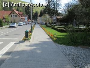 [P05] Alei curate » foto by CATAAS
 - 
<span class="allrVoted glyphicon glyphicon-heart hidden" id="av846068"></span>
<a class="m-l-10 hidden" id="sv846068" onclick="voting_Foto_DelVot(,846068,4909)" role="button">șterge vot <span class="glyphicon glyphicon-remove"></span></a>
<a id="v9846068" class=" c-red"  onclick="voting_Foto_SetVot(846068)" role="button"><span class="glyphicon glyphicon-heart-empty"></span> <b>LIKE</b> = Votează poza</a> <img class="hidden"  id="f846068W9" src="/imagini/loader.gif" border="0" /><span class="AjErrMes hidden" id="e846068ErM"></span>