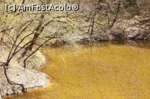 [P01] Sovata, Lacul Mierlei, aprilie 2017 » foto by Dana2008
 - 
<span class="allrVoted glyphicon glyphicon-heart hidden" id="av849492"></span>
<a class="m-l-10 hidden" id="sv849492" onclick="voting_Foto_DelVot(,849492,4909)" role="button">șterge vot <span class="glyphicon glyphicon-remove"></span></a>
<a id="v9849492" class=" c-red"  onclick="voting_Foto_SetVot(849492)" role="button"><span class="glyphicon glyphicon-heart-empty"></span> <b>LIKE</b> = Votează poza</a> <img class="hidden"  id="f849492W9" src="/imagini/loader.gif" border="0" /><span class="AjErrMes hidden" id="e849492ErM"></span>