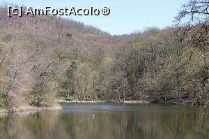 [P14] Sovata, Lacul Ursu, in drum spre traseul spre Lacul Mierlei, aprilie 2017 » foto by Dana2008
 - 
<span class="allrVoted glyphicon glyphicon-heart hidden" id="av849505"></span>
<a class="m-l-10 hidden" id="sv849505" onclick="voting_Foto_DelVot(,849505,4909)" role="button">șterge vot <span class="glyphicon glyphicon-remove"></span></a>
<a id="v9849505" class=" c-red"  onclick="voting_Foto_SetVot(849505)" role="button"><span class="glyphicon glyphicon-heart-empty"></span> <b>LIKE</b> = Votează poza</a> <img class="hidden"  id="f849505W9" src="/imagini/loader.gif" border="0" /><span class="AjErrMes hidden" id="e849505ErM"></span>