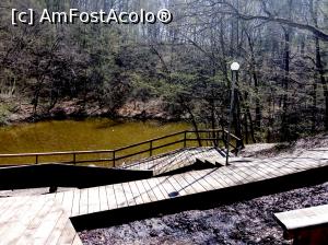 [P02] Sovata, Lacul Mierlei, aprilie 2017 » foto by Dana2008
 - 
<span class="allrVoted glyphicon glyphicon-heart hidden" id="av849493"></span>
<a class="m-l-10 hidden" id="sv849493" onclick="voting_Foto_DelVot(,849493,4909)" role="button">șterge vot <span class="glyphicon glyphicon-remove"></span></a>
<a id="v9849493" class=" c-red"  onclick="voting_Foto_SetVot(849493)" role="button"><span class="glyphicon glyphicon-heart-empty"></span> <b>LIKE</b> = Votează poza</a> <img class="hidden"  id="f849493W9" src="/imagini/loader.gif" border="0" /><span class="AjErrMes hidden" id="e849493ErM"></span>