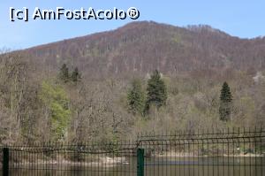 [P21] Sovata, traseul spre Lacul Mierlei, aprilie 2017 » foto by Dana2008
 - 
<span class="allrVoted glyphicon glyphicon-heart hidden" id="av849512"></span>
<a class="m-l-10 hidden" id="sv849512" onclick="voting_Foto_DelVot(,849512,4909)" role="button">șterge vot <span class="glyphicon glyphicon-remove"></span></a>
<a id="v9849512" class=" c-red"  onclick="voting_Foto_SetVot(849512)" role="button"><span class="glyphicon glyphicon-heart-empty"></span> <b>LIKE</b> = Votează poza</a> <img class="hidden"  id="f849512W9" src="/imagini/loader.gif" border="0" /><span class="AjErrMes hidden" id="e849512ErM"></span>