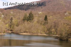 [P24] Sovata, l. Ursu, traseul spre Lacul Mierlei, aprilie 2017 » foto by Dana2008
 - 
<span class="allrVoted glyphicon glyphicon-heart hidden" id="av849515"></span>
<a class="m-l-10 hidden" id="sv849515" onclick="voting_Foto_DelVot(,849515,4909)" role="button">șterge vot <span class="glyphicon glyphicon-remove"></span></a>
<a id="v9849515" class=" c-red"  onclick="voting_Foto_SetVot(849515)" role="button"><span class="glyphicon glyphicon-heart-empty"></span> <b>LIKE</b> = Votează poza</a> <img class="hidden"  id="f849515W9" src="/imagini/loader.gif" border="0" /><span class="AjErrMes hidden" id="e849515ErM"></span>