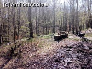 [P06] Sovata, Lacul Mierlei, aprilie 2017 » foto by Dana2008
 - 
<span class="allrVoted glyphicon glyphicon-heart hidden" id="av849497"></span>
<a class="m-l-10 hidden" id="sv849497" onclick="voting_Foto_DelVot(,849497,4909)" role="button">șterge vot <span class="glyphicon glyphicon-remove"></span></a>
<a id="v9849497" class=" c-red"  onclick="voting_Foto_SetVot(849497)" role="button"><span class="glyphicon glyphicon-heart-empty"></span> <b>LIKE</b> = Votează poza</a> <img class="hidden"  id="f849497W9" src="/imagini/loader.gif" border="0" /><span class="AjErrMes hidden" id="e849497ErM"></span>