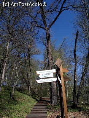 [P07] Sovata, traseul spre Lacul Mierlei, aprilie 2017 » foto by Dana2008
 - 
<span class="allrVoted glyphicon glyphicon-heart hidden" id="av849498"></span>
<a class="m-l-10 hidden" id="sv849498" onclick="voting_Foto_DelVot(,849498,4909)" role="button">șterge vot <span class="glyphicon glyphicon-remove"></span></a>
<a id="v9849498" class=" c-red"  onclick="voting_Foto_SetVot(849498)" role="button"><span class="glyphicon glyphicon-heart-empty"></span> <b>LIKE</b> = Votează poza</a> <img class="hidden"  id="f849498W9" src="/imagini/loader.gif" border="0" /><span class="AjErrMes hidden" id="e849498ErM"></span>