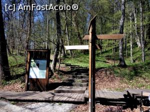 [P08] Sovata, traseul spre Lacul Mierlei, pe langa panou informativ, inainte, aprilie 2017 » foto by Dana2008
 - 
<span class="allrVoted glyphicon glyphicon-heart hidden" id="av849499"></span>
<a class="m-l-10 hidden" id="sv849499" onclick="voting_Foto_DelVot(,849499,4909)" role="button">șterge vot <span class="glyphicon glyphicon-remove"></span></a>
<a id="v9849499" class=" c-red"  onclick="voting_Foto_SetVot(849499)" role="button"><span class="glyphicon glyphicon-heart-empty"></span> <b>LIKE</b> = Votează poza</a> <img class="hidden"  id="f849499W9" src="/imagini/loader.gif" border="0" /><span class="AjErrMes hidden" id="e849499ErM"></span>