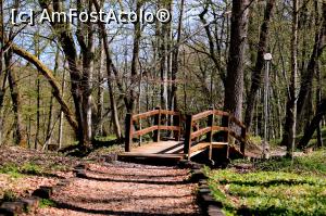 [P09] Sovata, traseul spre Lacul Mierlei, aprilie 2017 » foto by Dana2008
 - 
<span class="allrVoted glyphicon glyphicon-heart hidden" id="av849500"></span>
<a class="m-l-10 hidden" id="sv849500" onclick="voting_Foto_DelVot(,849500,4909)" role="button">șterge vot <span class="glyphicon glyphicon-remove"></span></a>
<a id="v9849500" class=" c-red"  onclick="voting_Foto_SetVot(849500)" role="button"><span class="glyphicon glyphicon-heart-empty"></span> <b>LIKE</b> = Votează poza</a> <img class="hidden"  id="f849500W9" src="/imagini/loader.gif" border="0" /><span class="AjErrMes hidden" id="e849500ErM"></span>