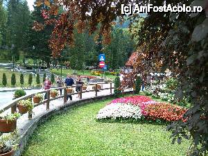 [P04] Imagine din Parcul Petofi către Kogălniceanu, de vizavi.  » foto by corneliam
 - 
<span class="allrVoted glyphicon glyphicon-heart hidden" id="av458524"></span>
<a class="m-l-10 hidden" id="sv458524" onclick="voting_Foto_DelVot(,458524,4909)" role="button">șterge vot <span class="glyphicon glyphicon-remove"></span></a>
<a id="v9458524" class=" c-red"  onclick="voting_Foto_SetVot(458524)" role="button"><span class="glyphicon glyphicon-heart-empty"></span> <b>LIKE</b> = Votează poza</a> <img class="hidden"  id="f458524W9" src="/imagini/loader.gif" border="0" /><span class="AjErrMes hidden" id="e458524ErM"></span>