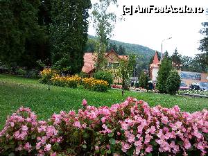 [P07] Flori, natură și iar flori, în Sovata.  » foto by corneliam
 - 
<span class="allrVoted glyphicon glyphicon-heart hidden" id="av458532"></span>
<a class="m-l-10 hidden" id="sv458532" onclick="voting_Foto_DelVot(,458532,4909)" role="button">șterge vot <span class="glyphicon glyphicon-remove"></span></a>
<a id="v9458532" class=" c-red"  onclick="voting_Foto_SetVot(458532)" role="button"><span class="glyphicon glyphicon-heart-empty"></span> <b>LIKE</b> = Votează poza</a> <img class="hidden"  id="f458532W9" src="/imagini/loader.gif" border="0" /><span class="AjErrMes hidden" id="e458532ErM"></span>