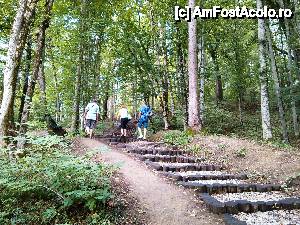 [P08] Rezervația Lacul Ursu și arboretele de pe sărături, cu trasee amenajate, numai bune pentru amatorii de plimbări. » foto by corneliam
 - 
<span class="allrVoted glyphicon glyphicon-heart hidden" id="av458535"></span>
<a class="m-l-10 hidden" id="sv458535" onclick="voting_Foto_DelVot(,458535,4909)" role="button">șterge vot <span class="glyphicon glyphicon-remove"></span></a>
<a id="v9458535" class=" c-red"  onclick="voting_Foto_SetVot(458535)" role="button"><span class="glyphicon glyphicon-heart-empty"></span> <b>LIKE</b> = Votează poza</a> <img class="hidden"  id="f458535W9" src="/imagini/loader.gif" border="0" /><span class="AjErrMes hidden" id="e458535ErM"></span>