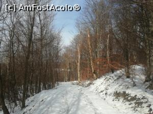 [P14] Drumul intre Turnu Belvedere si Lacul Tivoli sau "aleea ursilor" » foto by dorgo
 - 
<span class="allrVoted glyphicon glyphicon-heart hidden" id="av1252264"></span>
<a class="m-l-10 hidden" id="sv1252264" onclick="voting_Foto_DelVot(,1252264,4909)" role="button">șterge vot <span class="glyphicon glyphicon-remove"></span></a>
<a id="v91252264" class=" c-red"  onclick="voting_Foto_SetVot(1252264)" role="button"><span class="glyphicon glyphicon-heart-empty"></span> <b>LIKE</b> = Votează poza</a> <img class="hidden"  id="f1252264W9" src="/imagini/loader.gif" border="0" /><span class="AjErrMes hidden" id="e1252264ErM"></span>