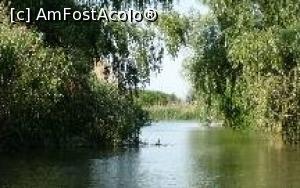 [P13] Am intrat pe un canal îngust » foto by Michi
 - 
<span class="allrVoted glyphicon glyphicon-heart hidden" id="av1255931"></span>
<a class="m-l-10 hidden" id="sv1255931" onclick="voting_Foto_DelVot(,1255931,4923)" role="button">șterge vot <span class="glyphicon glyphicon-remove"></span></a>
<a id="v91255931" class=" c-red"  onclick="voting_Foto_SetVot(1255931)" role="button"><span class="glyphicon glyphicon-heart-empty"></span> <b>LIKE</b> = Votează poza</a> <img class="hidden"  id="f1255931W9" src="/imagini/loader.gif" border="0" /><span class="AjErrMes hidden" id="e1255931ErM"></span>
