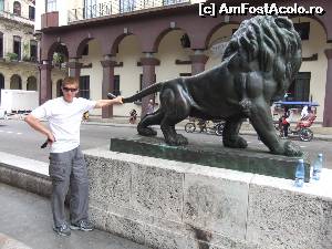 [P03] Tragind leul de coada in Havana » foto by cian
 - 
<span class="allrVoted glyphicon glyphicon-heart hidden" id="av603806"></span>
<a class="m-l-10 hidden" id="sv603806" onclick="voting_Foto_DelVot(,603806,4925)" role="button">șterge vot <span class="glyphicon glyphicon-remove"></span></a>
<a id="v9603806" class=" c-red"  onclick="voting_Foto_SetVot(603806)" role="button"><span class="glyphicon glyphicon-heart-empty"></span> <b>LIKE</b> = Votează poza</a> <img class="hidden"  id="f603806W9" src="/imagini/loader.gif" border="0" /><span class="AjErrMes hidden" id="e603806ErM"></span>