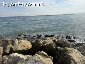 [P65] Sulina Internaţional din Mamaia - pe dig » foto by nicole33
 - 
<span class="allrVoted glyphicon glyphicon-heart hidden" id="av1524341"></span>
<a class="m-l-10 hidden" id="sv1524341" onclick="voting_Foto_DelVot(,1524341,4946)" role="button">șterge vot <span class="glyphicon glyphicon-remove"></span></a>
<a id="v91524341" class=" c-red"  onclick="voting_Foto_SetVot(1524341)" role="button"><span class="glyphicon glyphicon-heart-empty"></span> <b>LIKE</b> = Votează poza</a> <img class="hidden"  id="f1524341W9" src="/imagini/loader.gif" border="0" /><span class="AjErrMes hidden" id="e1524341ErM"></span>